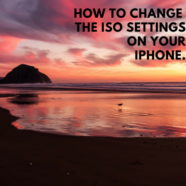 3 Apps to Modify your iPhone's ISO and Take your Photos to the Next Level