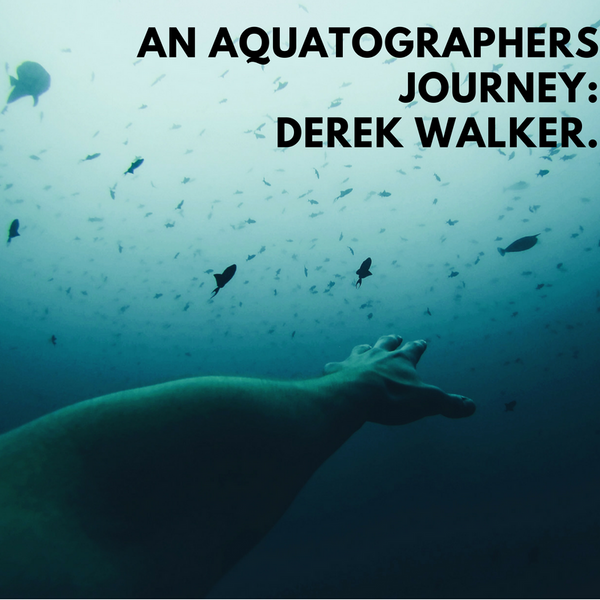 An Aquatographer’s Story: Derek Walker