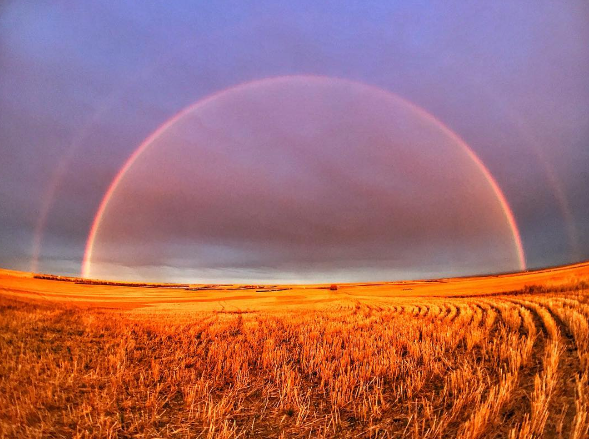 How To Take Incredible Landscape Photos With Your iPhone