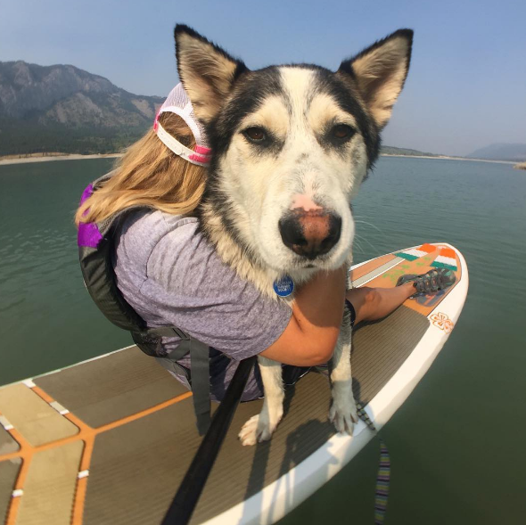 Turn Your Pet Into An Instagram Star With These Photography Tips